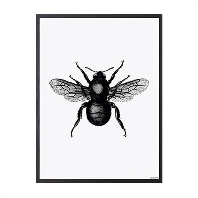 Vanilla Fly Bee Print White